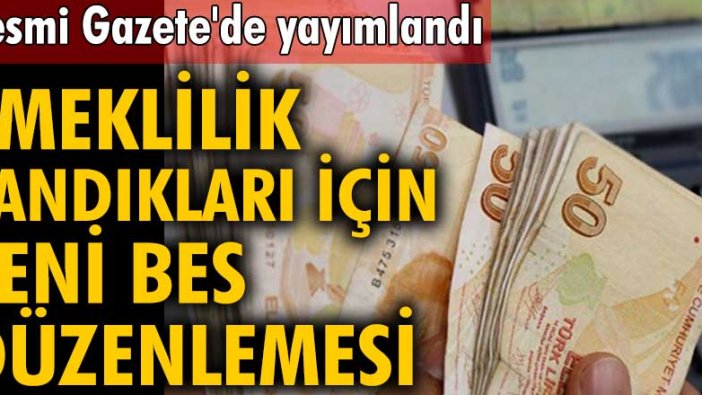 Emeklilik sandıkları için yeni BES düzenlemesi Resmi Gazete'de yayımlandı!