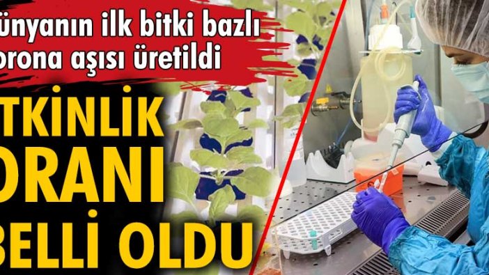 Dünyanın ilk bitki bazlı korona aşısı üretildi