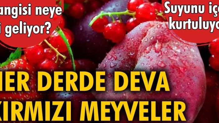 Her derde deva kırmızı meyveler... Hangisi neye iyi geliyor?