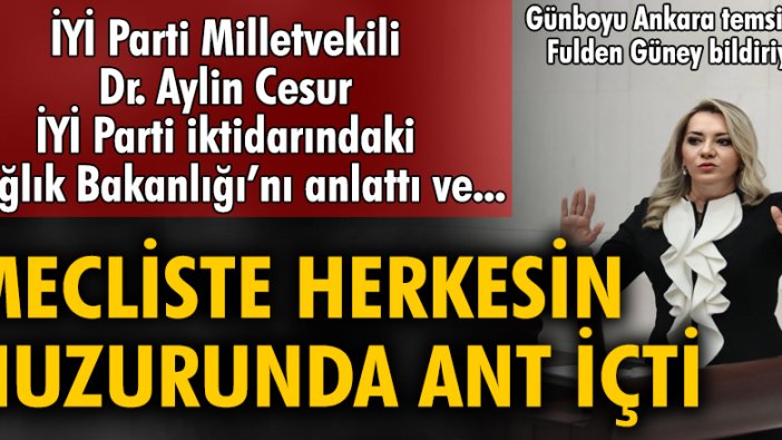 İYİ Parti Milletvekili Dr. Aylin Cesur İYİ Parti iktidarındaki Sağlık Bakanlığı'nı anlattı ve mecliste herkesin huzurunda ant içti