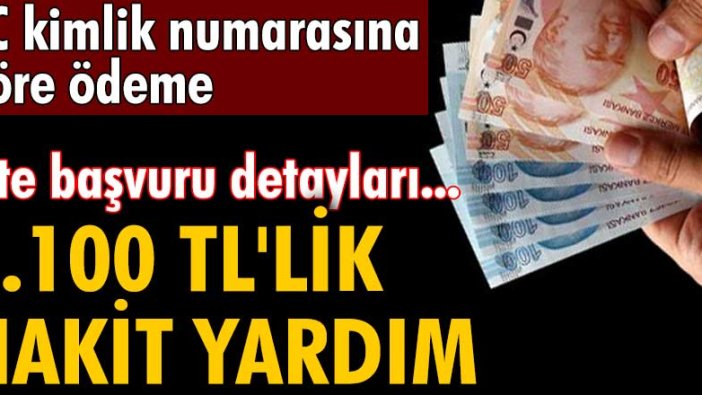 TC kimlik numarasına göre ödeme! PTT'de 1.100 TL'lik nakit yardım! İşte başvuru detayları...