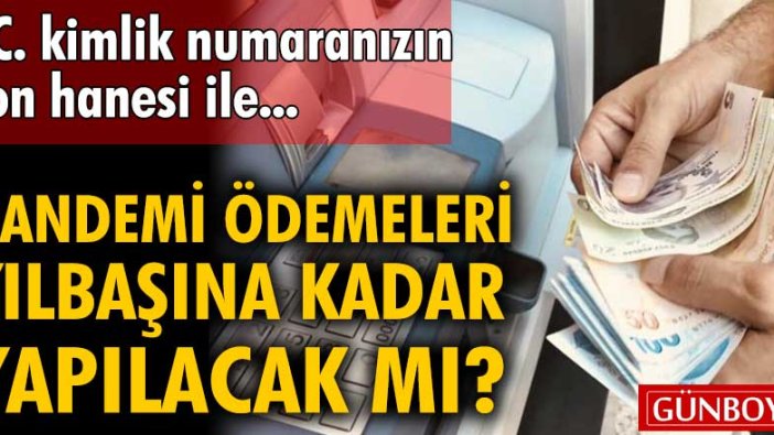 1100 TL olarak yapılan yardımların 4. faz ödemeleri yılbaşına kadar yapılacak mı?