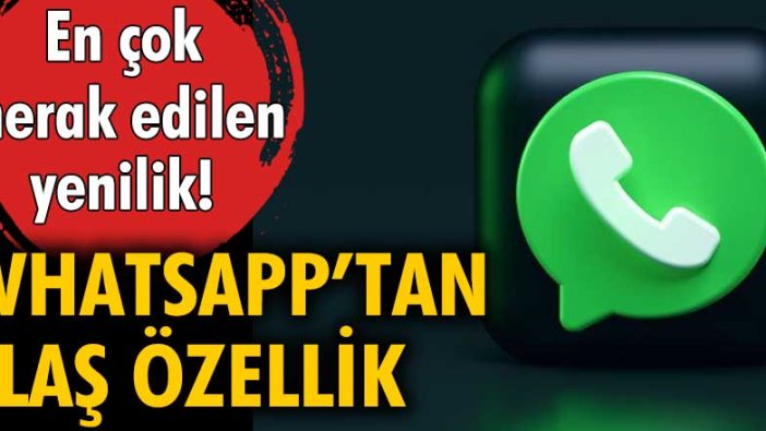 WhatsApp'tan flaş özellik