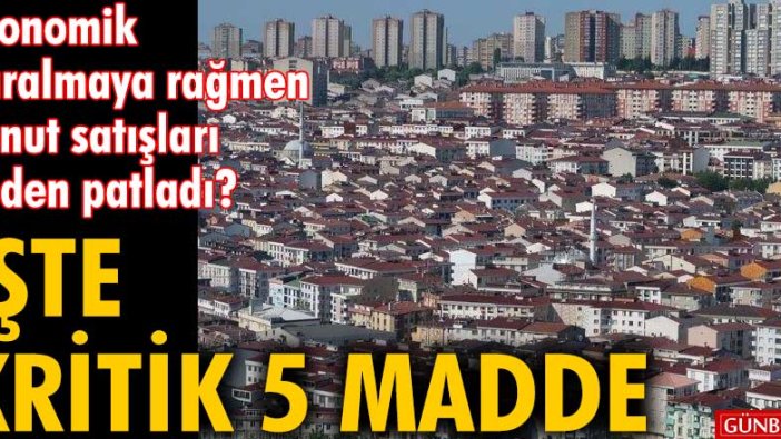 Ekonomik daralmaya rağmen konut satışları neden patladı? İşte kritik 5 madde