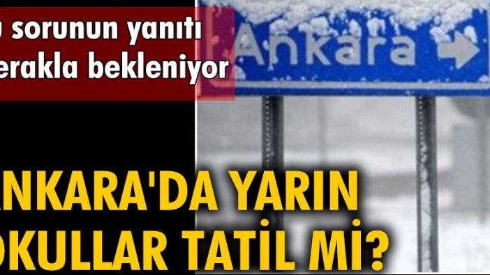 Ankara'da yarın okullar tatil mi?