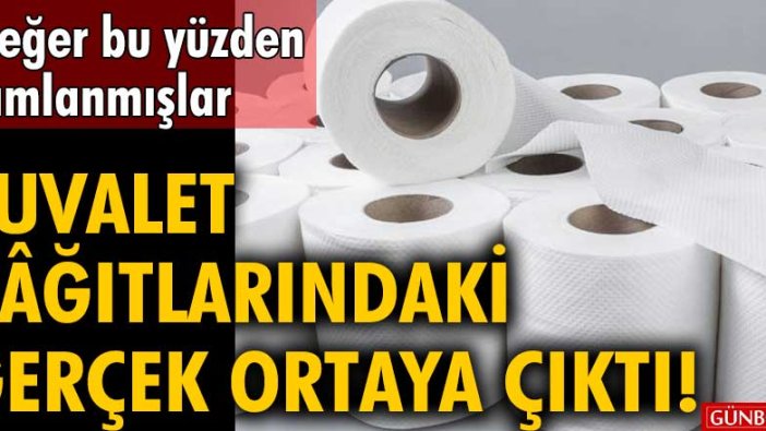 Tuvalet kâğıtlarındaki gerçek ortaya çıktı! Meğer bu yüzden zamlanmışlar