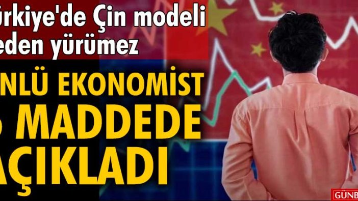 Türkiye'de Çin modeli neden yürümez? Mahfi Eğilmez açıkladı