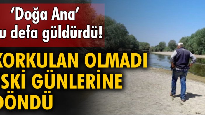 'Doğa Ana' bu defa güldürdü! Korkulan olmadı Büyük Menderes Nehri eski günlerine döndü