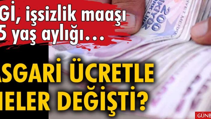 AGİ, işsizlik maaşı, 65 yaş aylığı… 2022 yılı asgari ücreti ile neler değişti? 