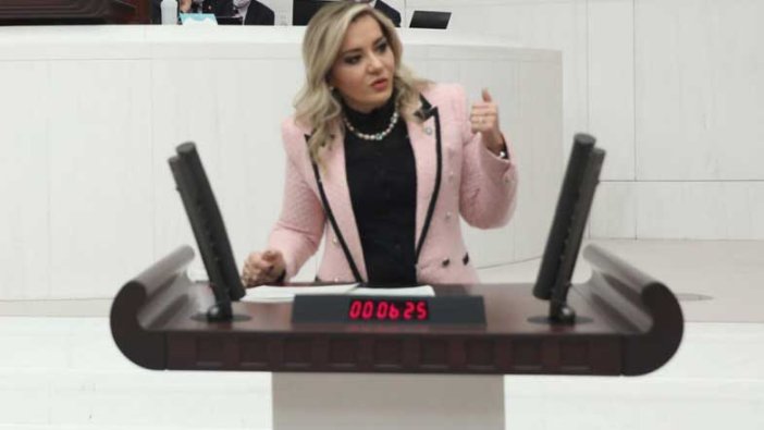 İYİ Parti li Aylin Cesur: Ülkemiz derin bir halk sağlığı sorunu ile karşı karşıya