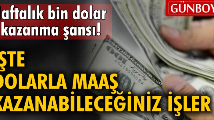 Haftalık bin dolar kazanma şansı! İşte dolarla maaş kazanabileceğiniz işler