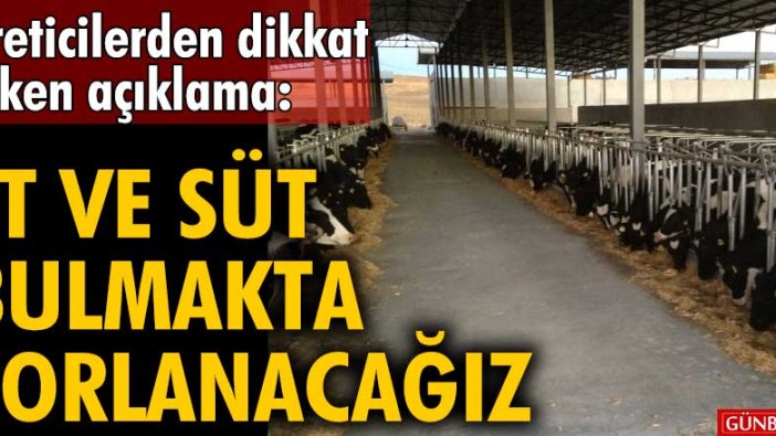 Üreticilerden dikkat çeken açıklama: Et ve süt bulmakta zorlanacağız