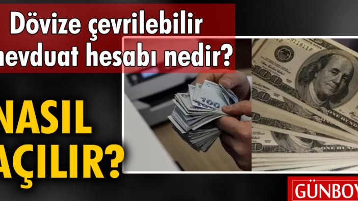 Dövize çevrilebilir mevduat hesabı nedir? Nasıl açılır?