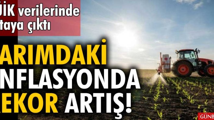 TÜİK verilerinde ortaya çıktı! Tarımdaki enflasyonda rekor artış