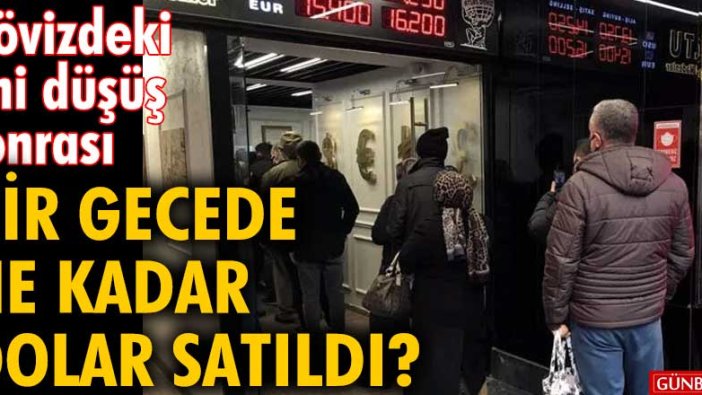 Dövizdeki ani düşüş sonrası bir gecede ne kadar dolar satıldı?