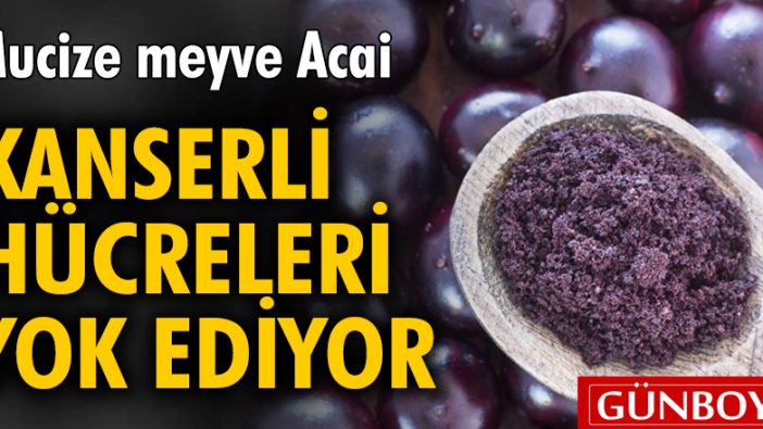 Mucize meyve Acai kanserli hücreleri yok ediyor