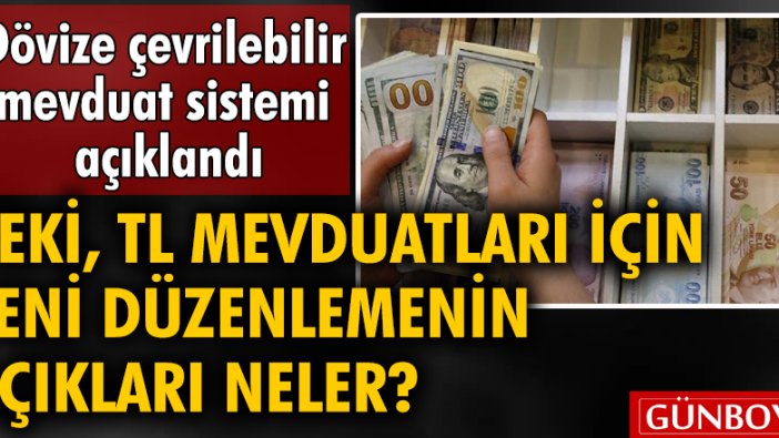 Dövize çevrilebilir mevduat sistemi açıklandı! Peki, TL mevduatları için yeni düzenlemenin açıkları neler?