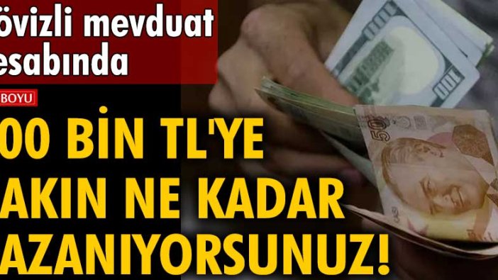 Dövizli mevduat hesabında 100 bin TL'ye bakın ne kadar kazanıyorsunuz!