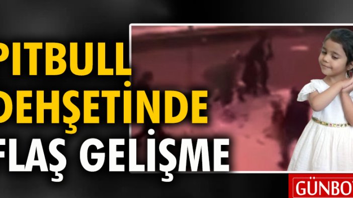 Pitbull dehşetinde flaş gelişme