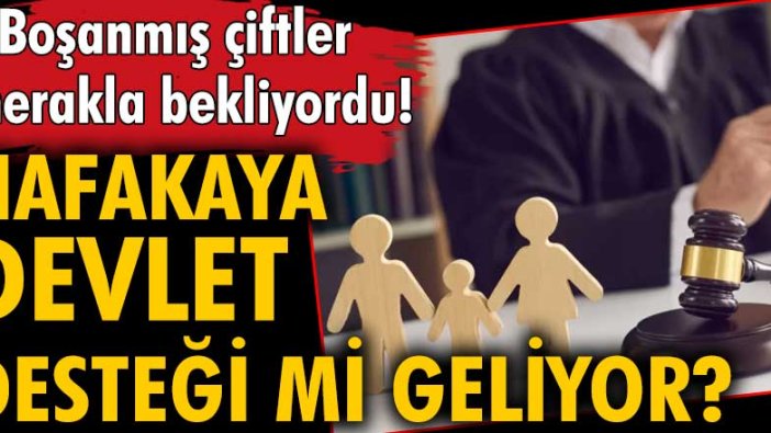 Boşanmış çiftler merakla bekliyordu! Nafakaya devlet desteği mi geliyor?