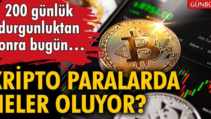 Kripto paralarda neler oluyor?