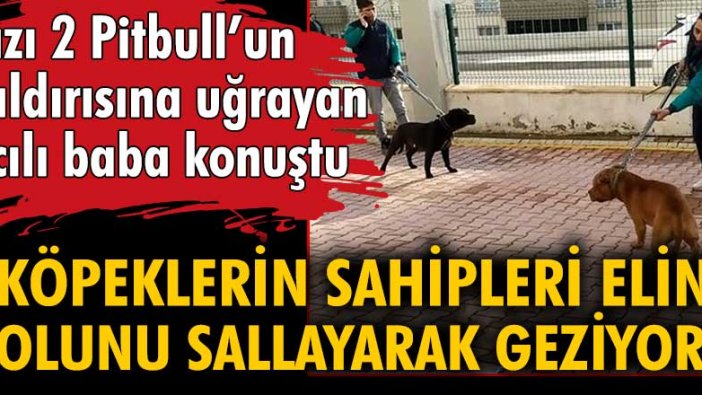 İki pitbull 4 yaşındaki bebeğe saldırmıştı. Asiye Ateş'in babası konuştu