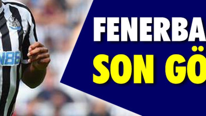 Fenerbahçe'nin son gözdesi!