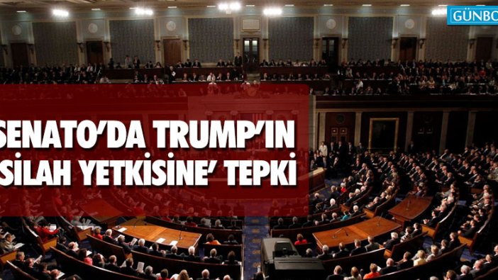 Senato'da Trump'un 'silah yetkisine' tepki
