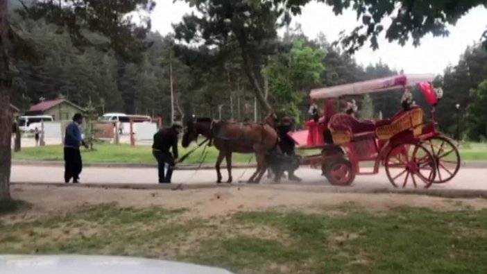 Faytondaki at yorgunluktan yere yığıldı