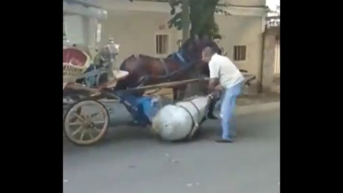 Adalar'daki fayton skandalı devam ediyor