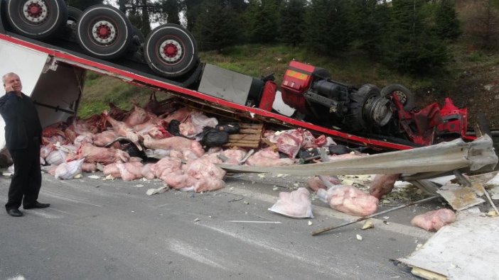 Kocaeli'de et yüklü TIR devrildi