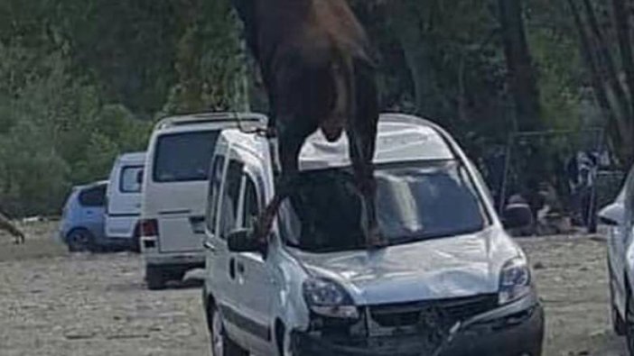 Onu tutabilene aşk olsun! Arabayı paramparça etti