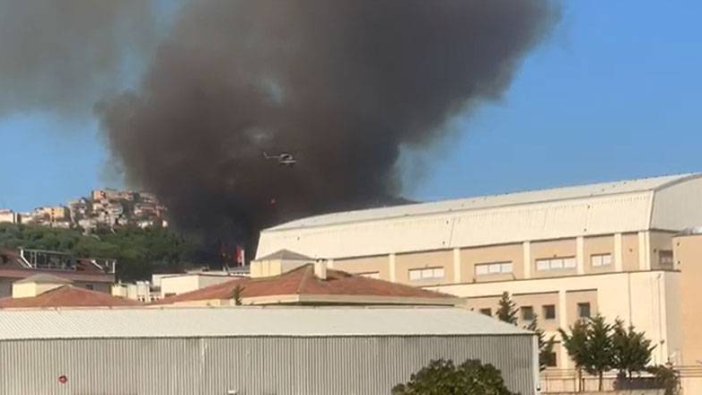 İstanbul'da orman yangını