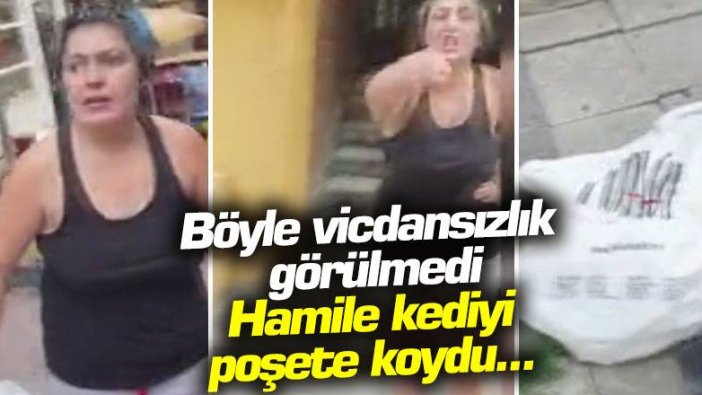 Böyle vicdansızlık görülmedi, hamile kediyi poşete koydu...