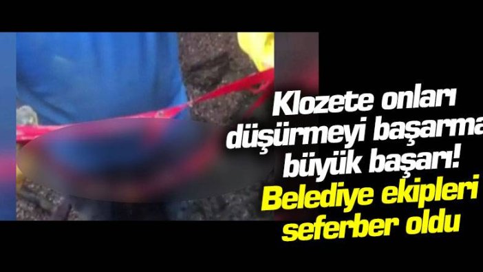 Klozete onları düşürmeyi başarmak büyük başarı! Belediye ekipleri seferber oldu