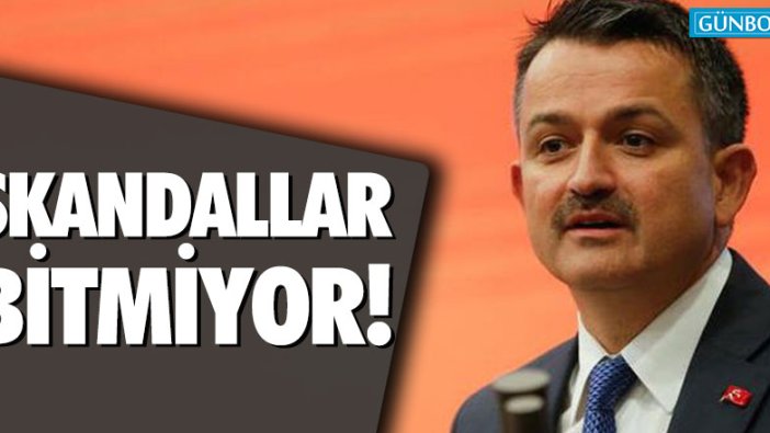 Tarım ve Orman Bakanlığı’nda skandallar bitmiyor