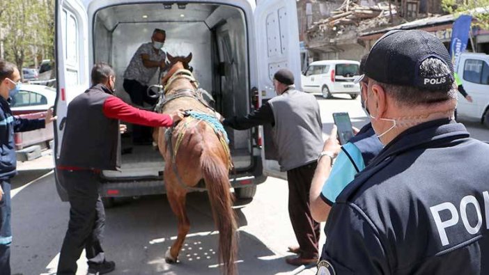 Sahibinden kaçan at trafiği birbirine kattı! Bazı vatandaşlar ezilme tehlikesi yaşadı