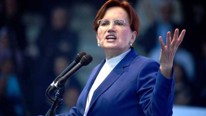 Meral Akşener’den Pakdemirli’ye sert tepki