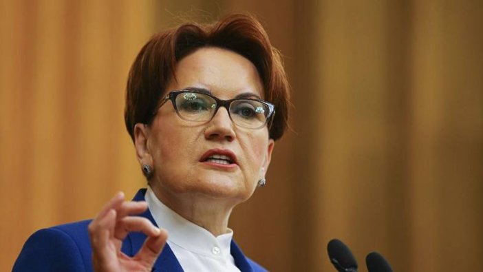 Meral Akşener'den Erdoğan'ın yangın açıklamalarına sert tepki