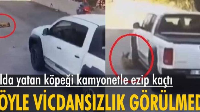 Mersin'de  yolda yatan köpeği kamyonetle ezip kaçtı