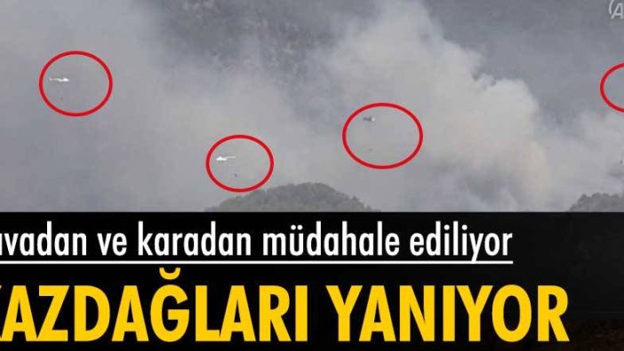 Kazdağlarında çıkan orman yangınına müdahale devam ediyor