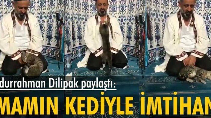 Abdurrahman Dilipak paylaştı: İmamın kediyle imtihanı