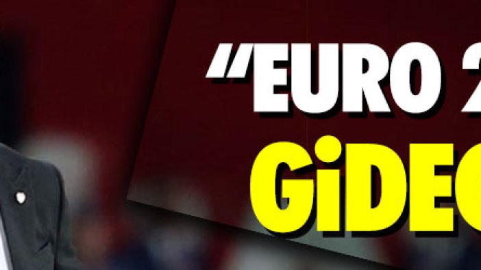 Şenol Güneş: ‘EURO 2020’ye gideceğiz’