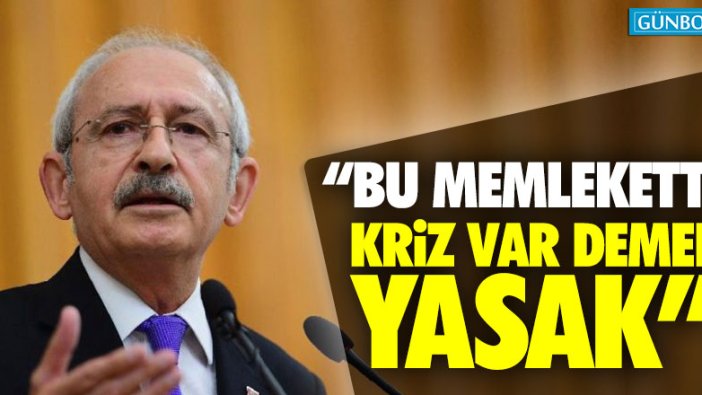 "Bu ülkede kriz var demek yasak"