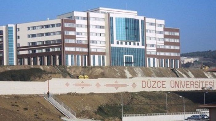 Düzce Üniversitesi sözleşmeli personel alım ilanı