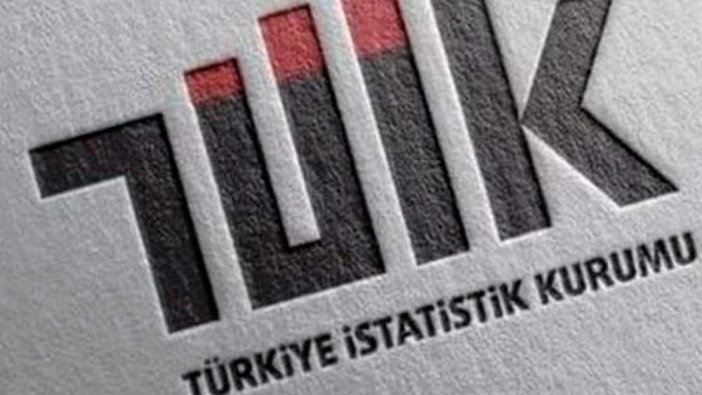 Türkiye İstatistik Kurumu Sözleşmeli Bilişim Personeli alım ilanı