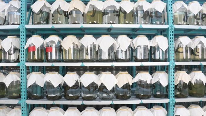 Taleplere yetişemiyor, yurt dışını beklemeye aldı