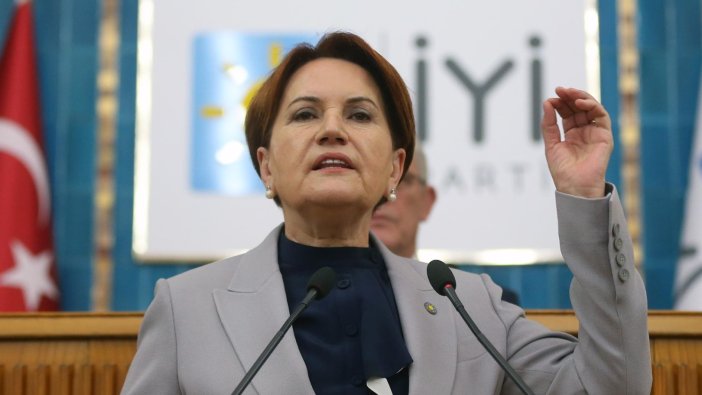 Meral Akşener Sakarya'yı ziyaret edecek