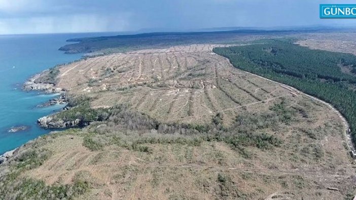 Sinop nükleer santral projesi neden durduruldu?