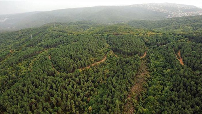 Valiliklerden peş peşe yasak duyuruları!